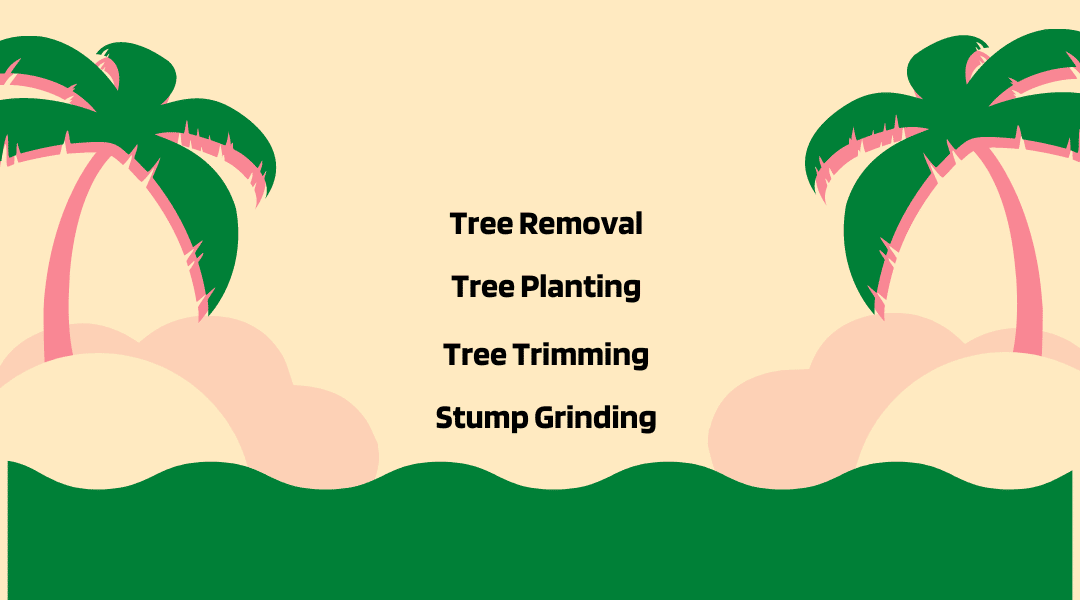 Best and Affordable Tree Services by Experts in Maui