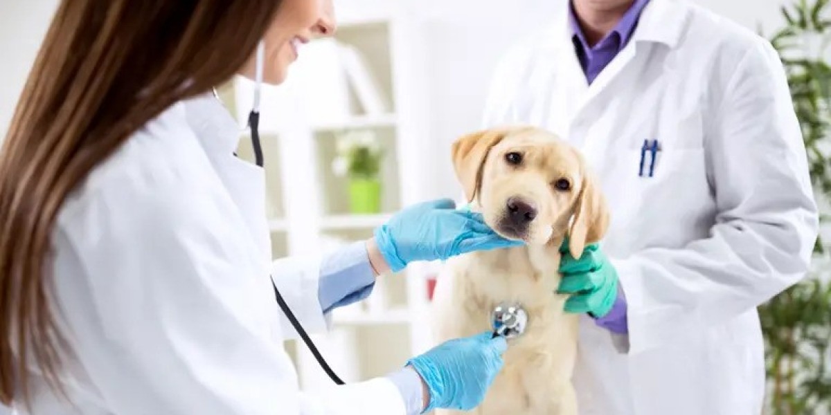 Japan Veterinary Healthcare Market SizeWill Grow at a Healthy Cagr by 2030 Along with Top Key Players.