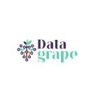 Data Grape