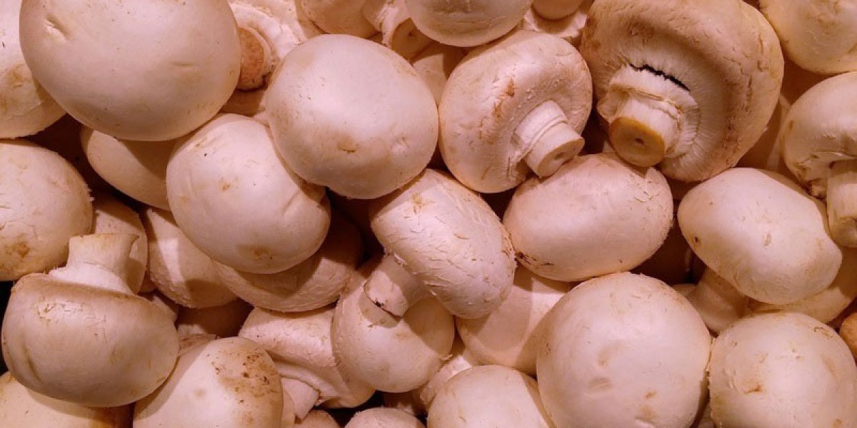 The Mushroom Cultivation Revolution: Understanding the Market and Its Impact