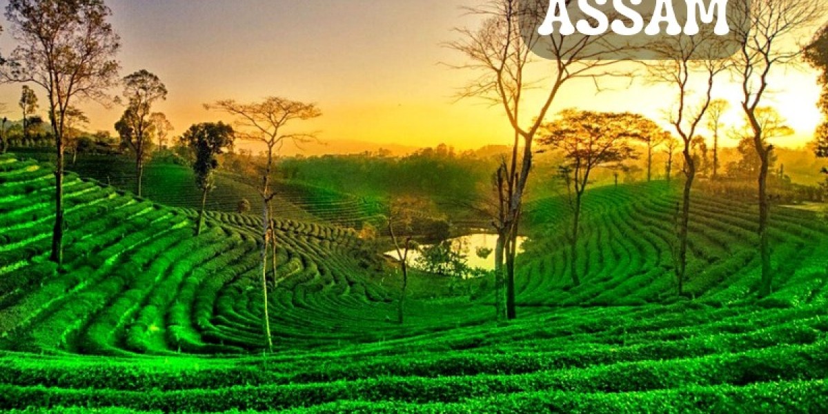 Assam Tour Package for Delhi