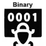 Binary Bug