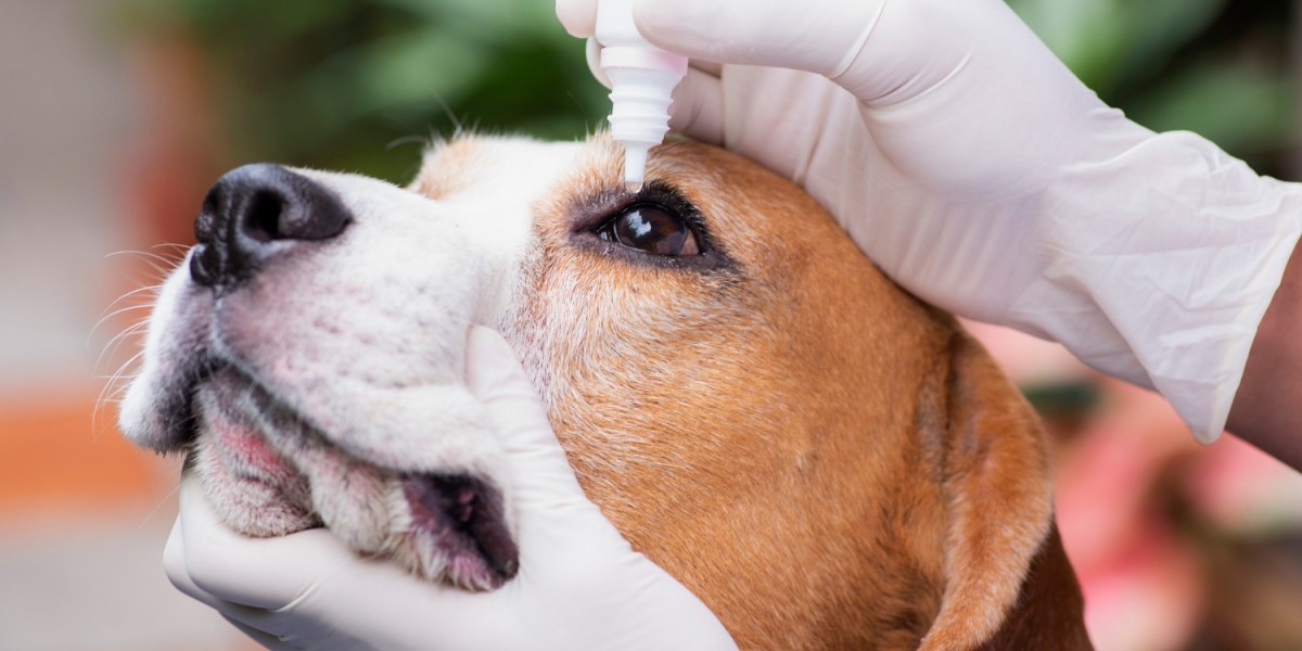 Veterinary Molecular Diagnostics Market by Size, Share, Growth and Forecast