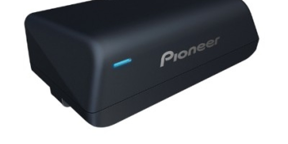 Pioneer ts-wx010a