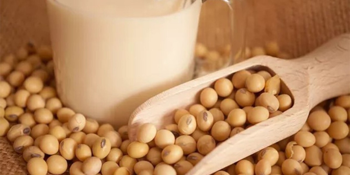 Soy Protein Ingredients Market | Segments, Size and Demand, Dynamics, 2022-2032.