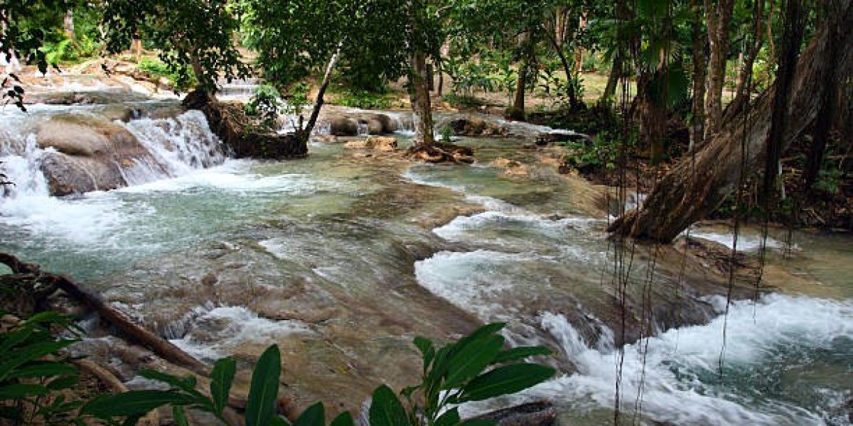 Dunn's River Falls Unveiled: A Natural Wonder to Discover