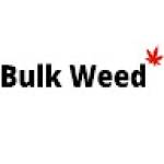 bulkweed