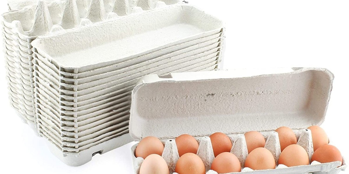 Egg Packaging Market Size, Trends and Forecast 2023-2028