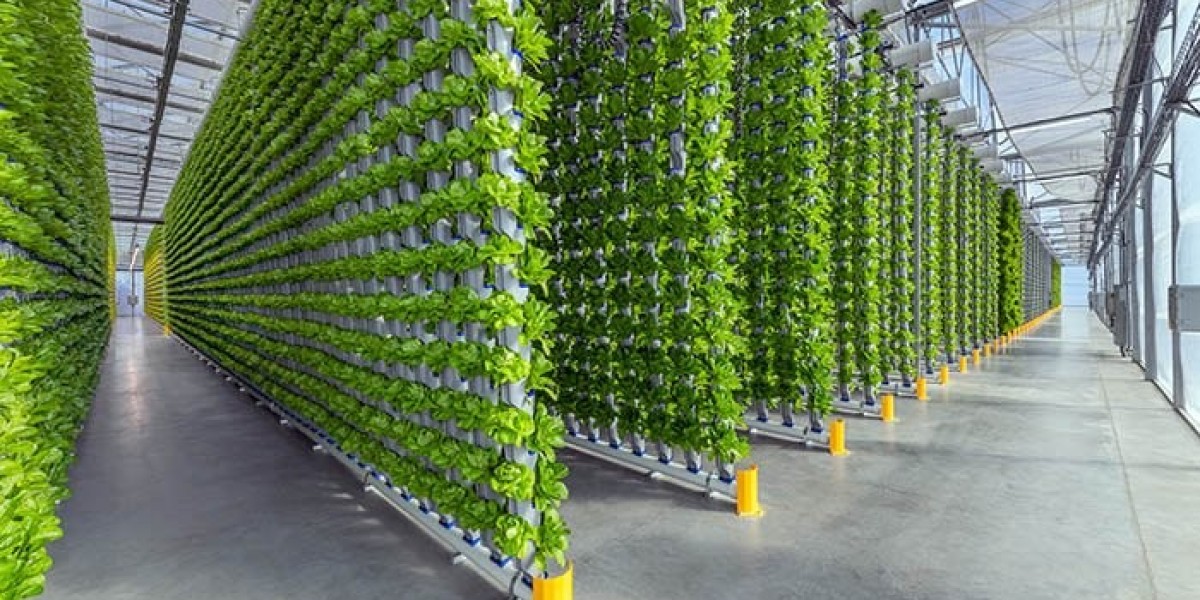 Vertical Farming Market Size, Share, Growth Rate, and Forecast 2023-2028