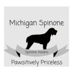 Michigan spinone