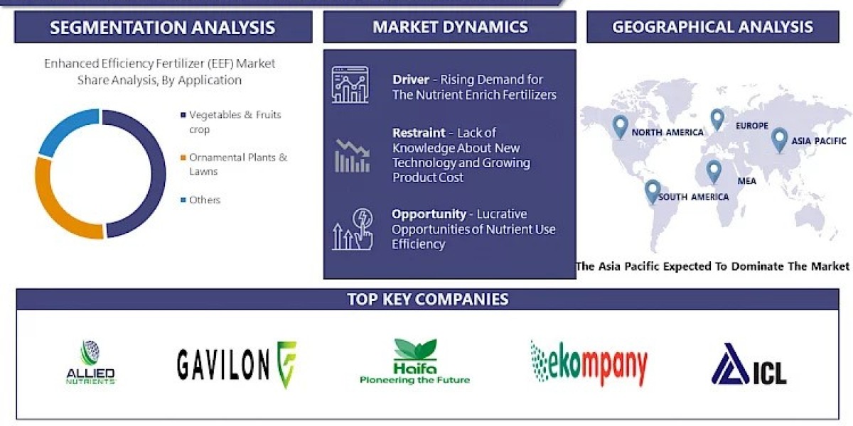 Enhanced Efficiency Fertilizer (EEF) Market In Sustainable Agriculture 2023-2030| Soilgenic Technologies, LLC, Ekompany 