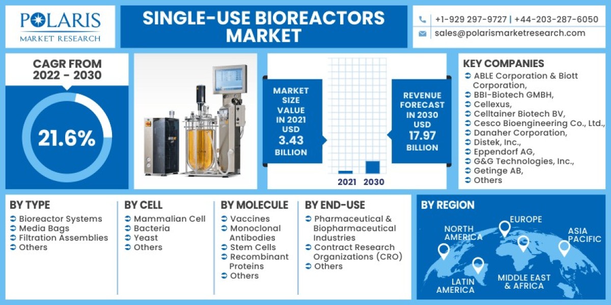 Single-Use Bioreactors Market Sector Set for Incremental Growth Up to 2023-2032