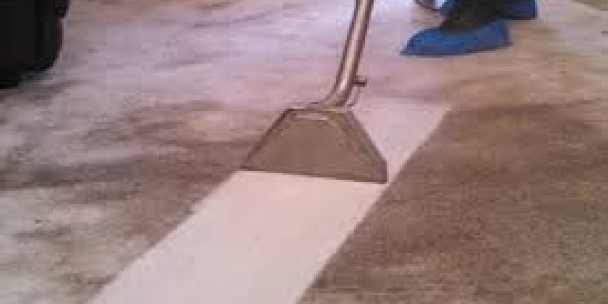 Revitalize Your Home with Professional Carpet Cleaning