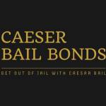 Caeser Bail Bonds LLC
