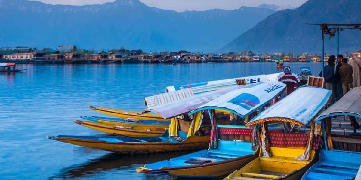 Kashmir Tours Exploring Paradise on Earth's Natural Beauty, Culture, and Unique Experiences
