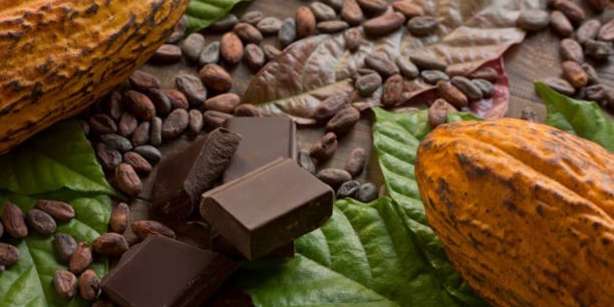 Key Organic Chocolate Market Players, Regional breakdown and forecast year 2030