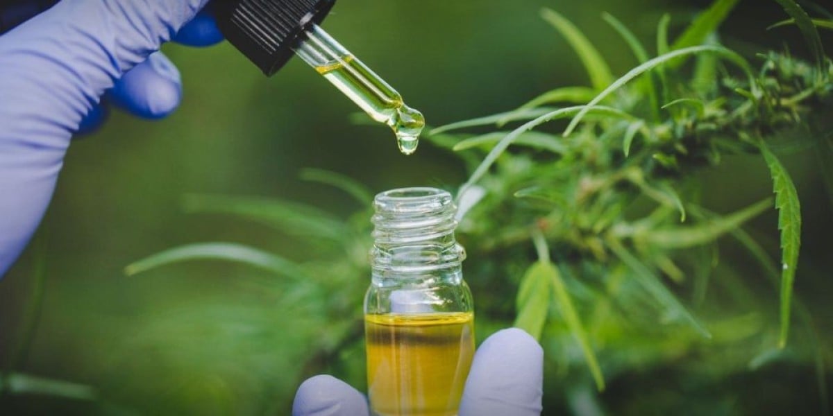 Cannabis Testing Market 2028: An In-Depth Study on Share and Analysis