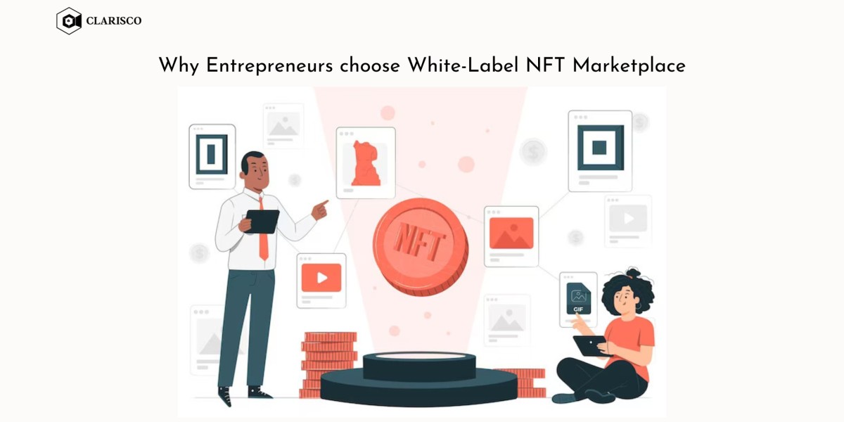Why entrepreneurs choose white-label NFt marketplaces