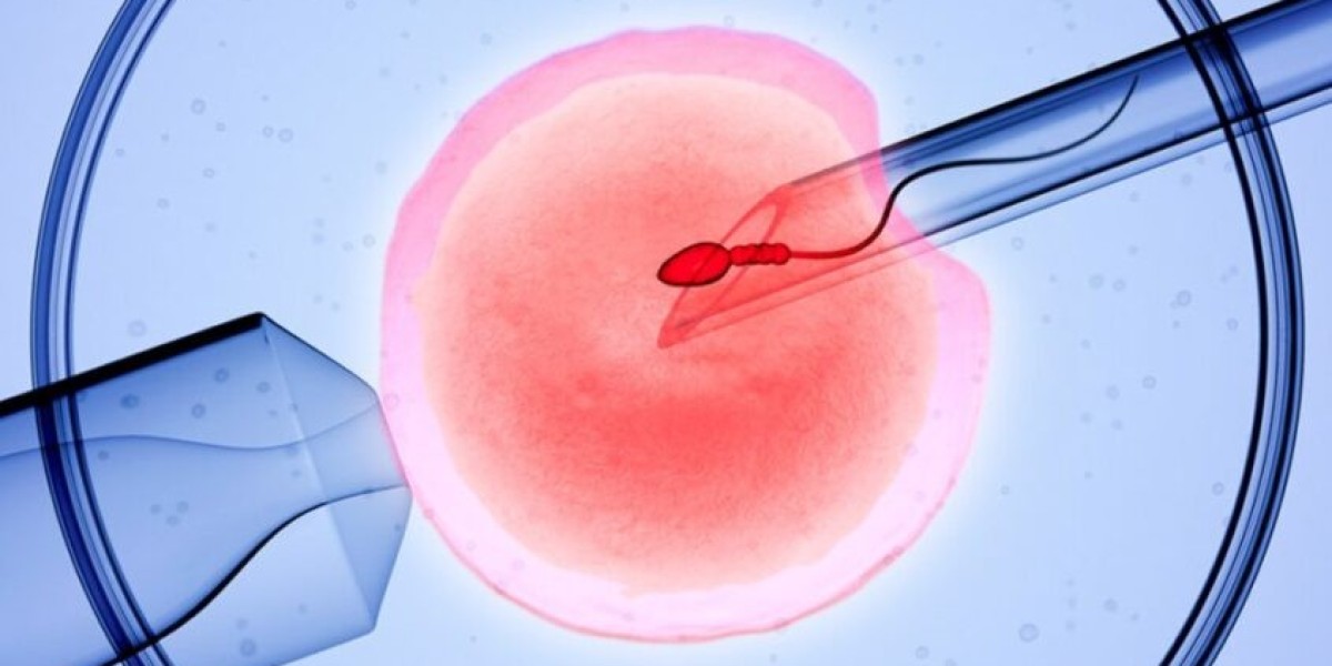 Understanding IVF Treatment
