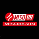 Miso88 Vin