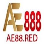 AE888 Red