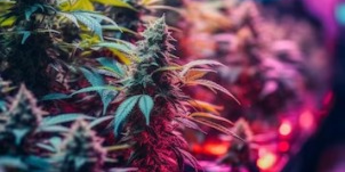 Find Your Perfect Cannabis Association in Madrid | Madrid Weed Club