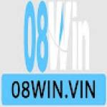 08Win Vin Profile Picture