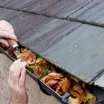 Roof Gutter Cleaning Geelong
