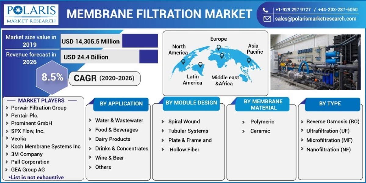 Unlocking Consumer Insights: Membrane Filtration Market Research Strategies
