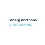 Loberg and Sons Gutter Cleaning Omaha