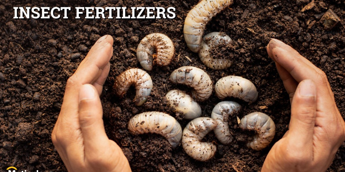 Insect Fertilizers Market to Attain a Valuation of the Highest CAGR, and Forecast to 2029