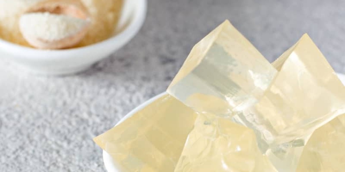 Gelatin Market Trends, Share, Growth, and Forecast 2023-2028