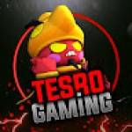 TESRO Gaming Gmng
