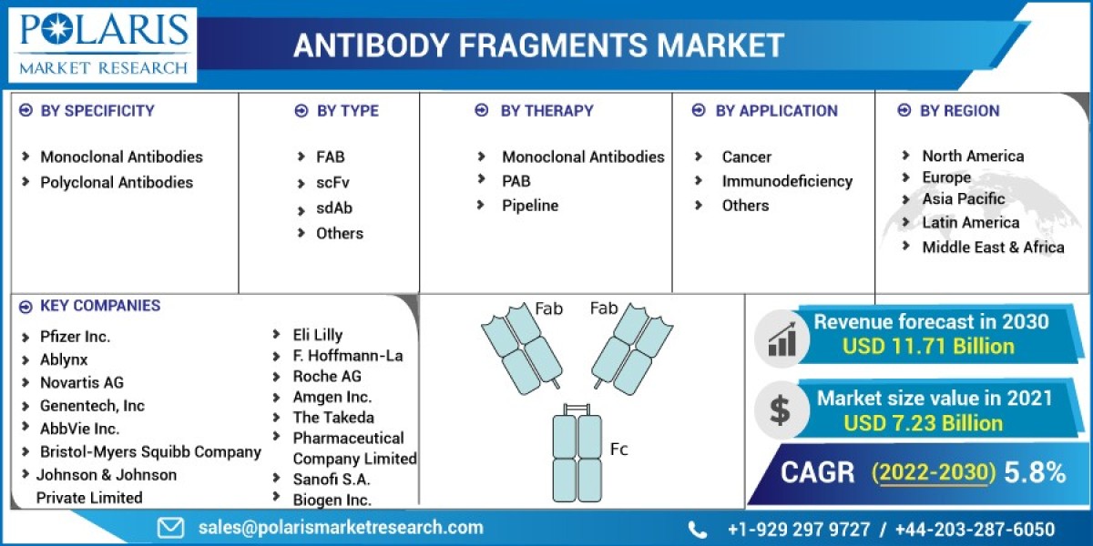 Antibody Fragments Market Insights 2023: Development, Detail Industry Analysis, Demand, Industry Growth, and Business St