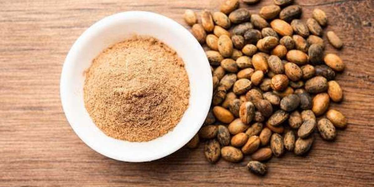 Seed Treatment Market Analysis, Historical Growth, forecast to 2027