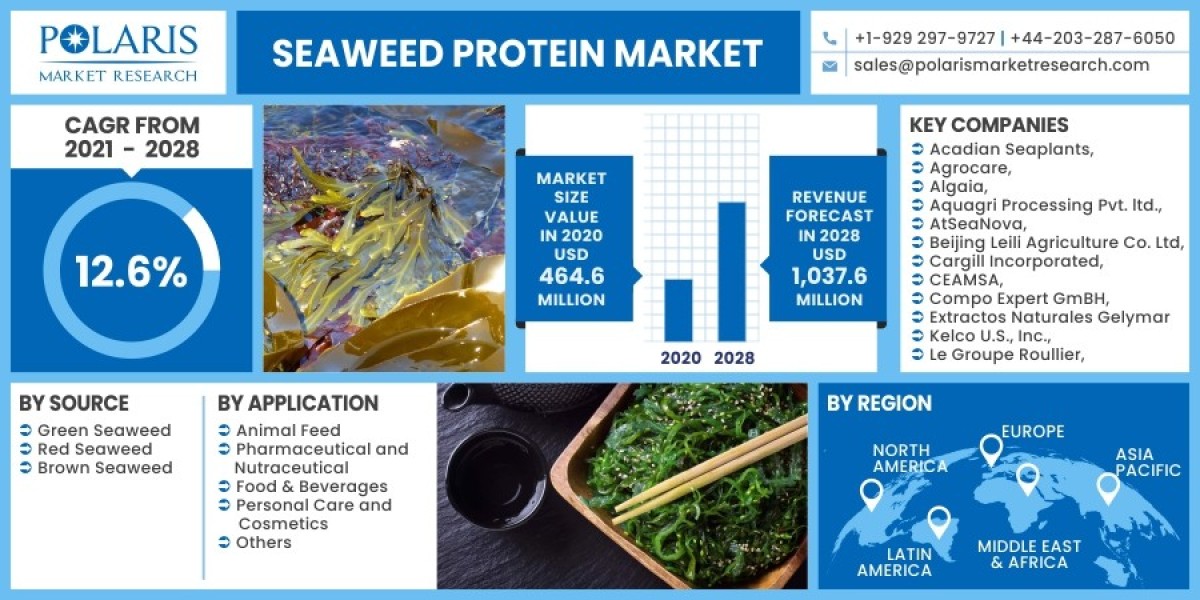 Seaweed Protein Market 2023 Trends, Top Industry Players and Future Trend and Outlook by 2032
