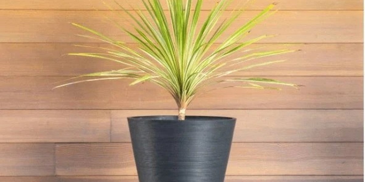 Buy Garden Planters Online From the Leading Shop