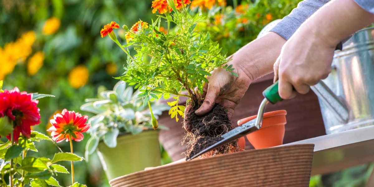 Maintain a Pristine Business Landscape: Professional Commercial Weed Control Services