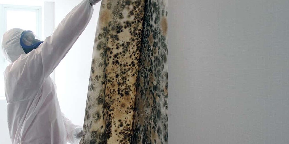 mold removal melbourne