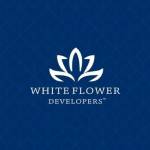 whiteflower developers Profile Picture