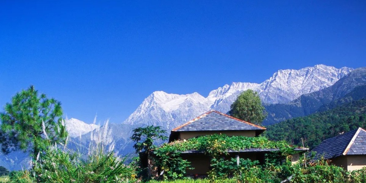 "Palampur: Where Nature's Beauty Meets Tranquility"