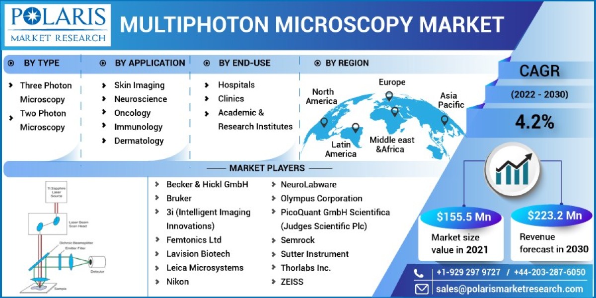 Multiphoton Microscopy Market   Strategic Imperatives for Success and Rising Demand Till 2032
