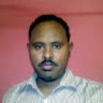 Afifi Mustafa Elhadi Ahmed Profile Picture