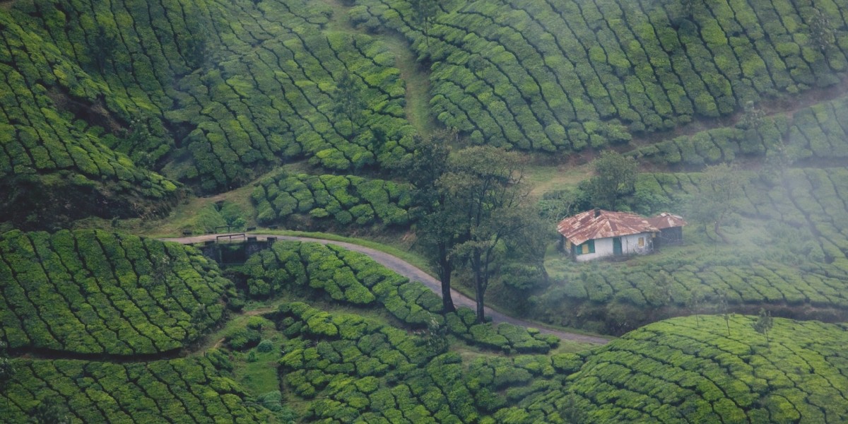 Exploration of Kerala: A Journey Through Enchanting Tour Destinations