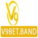 V9Bet Profile Picture