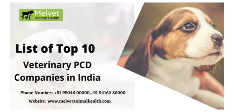 List of Top 10 Veterinary PCD Companies in India | Melvet