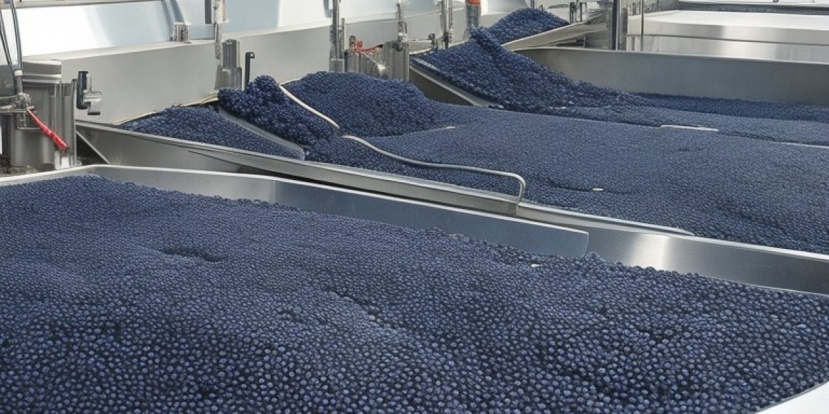 Maqui Berry Processing Plant Report 2023, Investment Opportunities, Plant Setup and Revenue