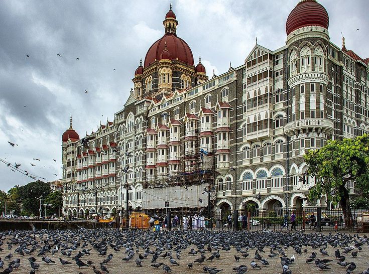 AIR AMBULANCE SERVICES IN MUMBAI – AIR RESCUERS in 2023 | India vacation, India tour, Mumbai