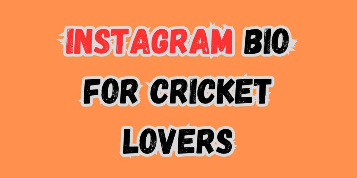 20+ Instagram Bio Ideas for Cricket Lovers: Show Your Love for the Game