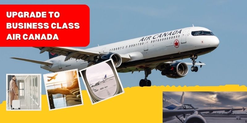 Upgrade to Business Class Air Canada 2023